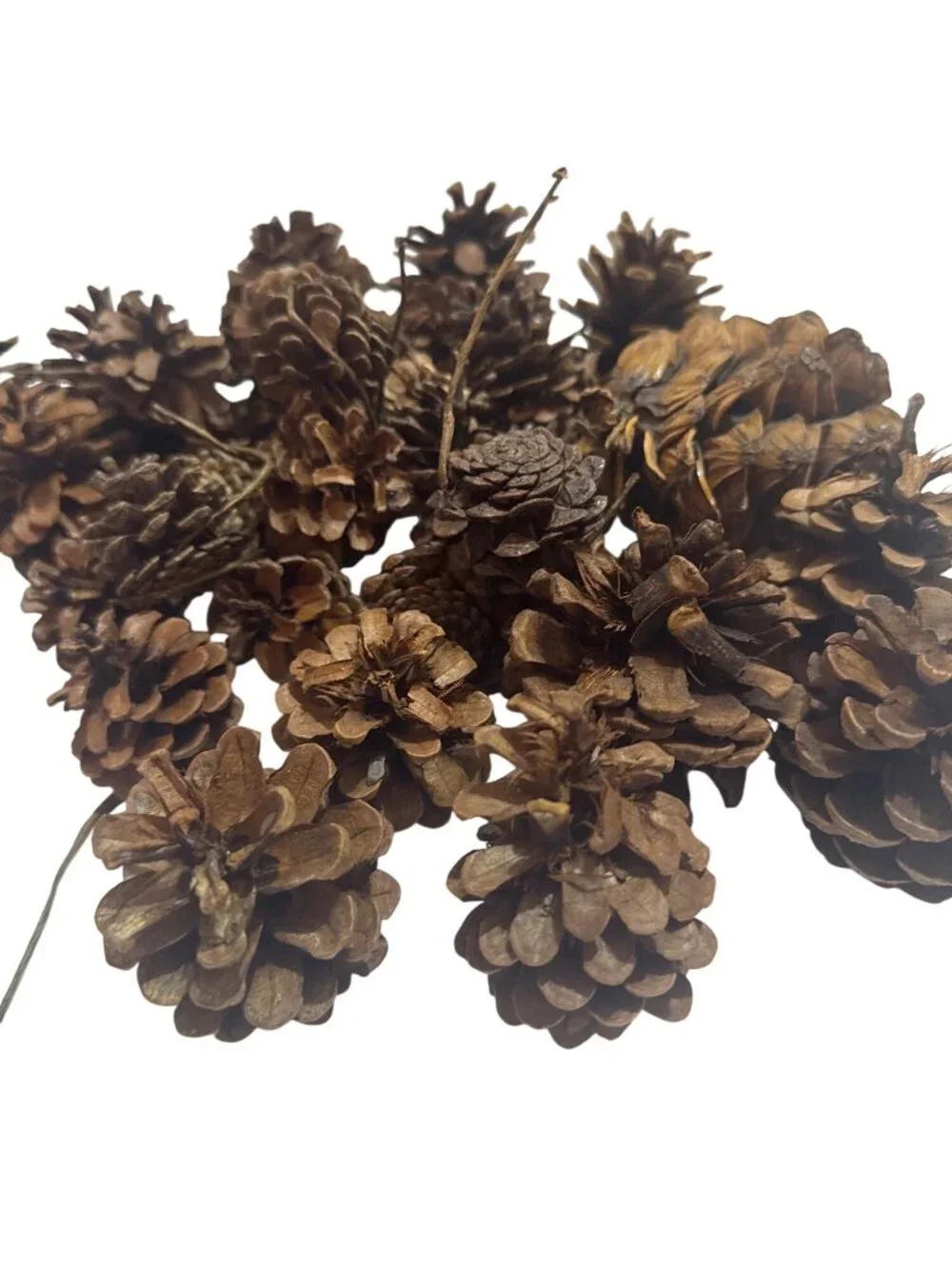 Natural Brown Pinecones for Garland Party Wedding Decor Christmas Craft Supply